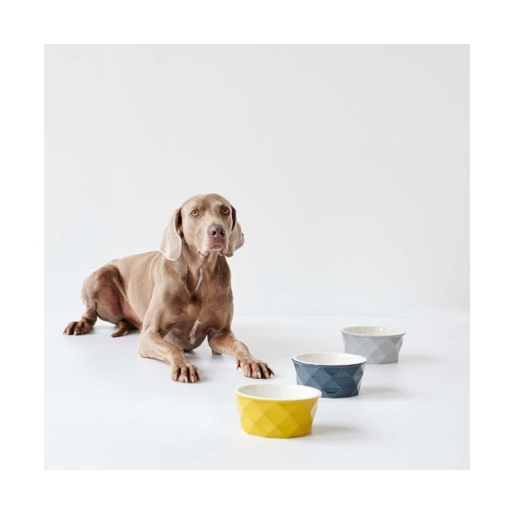 Hunter Eiby kerámia tál