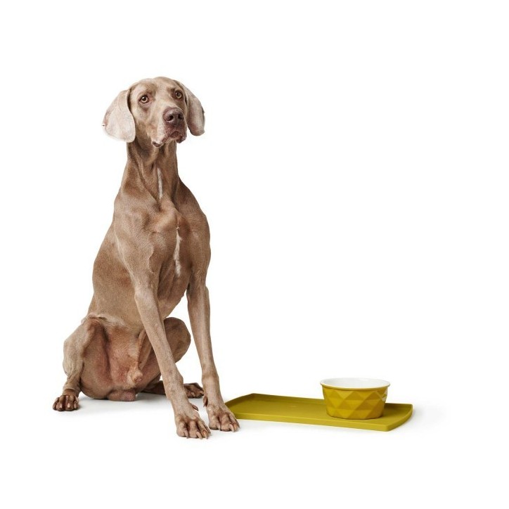 Hunter Eiby kerámia tál