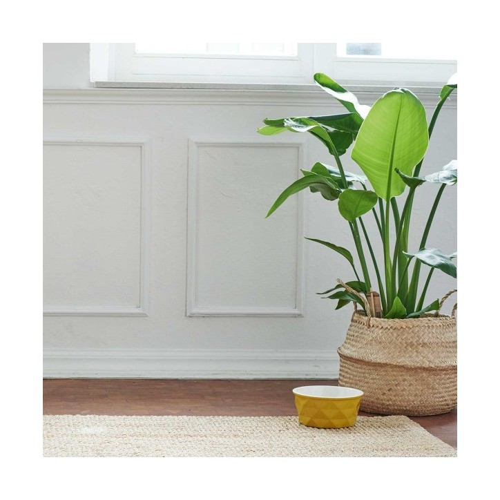 Hunter Eiby kerámia tál