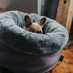 Ágy Miranda 50x50 cm