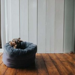 Ágy Miranda 50x50 cm