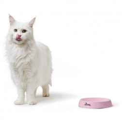 Melamin-tál Moulins