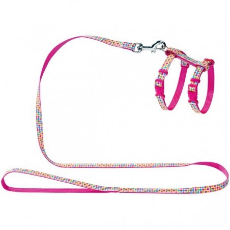 Pórázszett cicáknak és kölyökkutyáknak