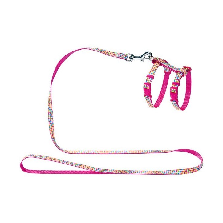 Pórázszett cicáknak és kölyökkutyáknak