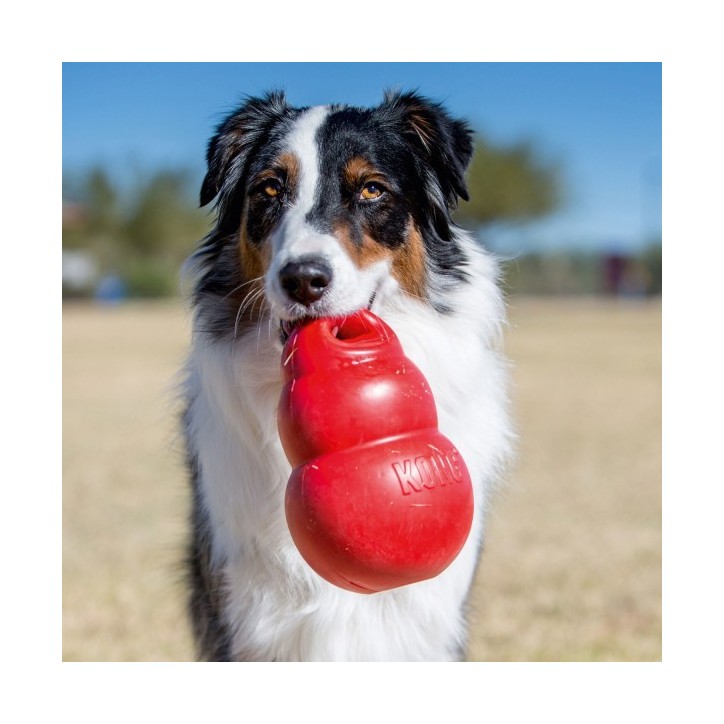 KONG® Bounzer™