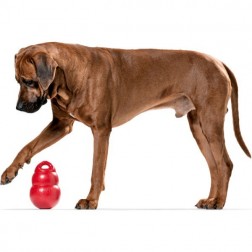 KONG® Bounzer™