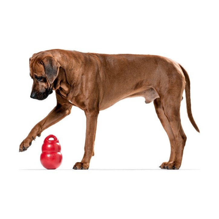 KONG® Bounzer™