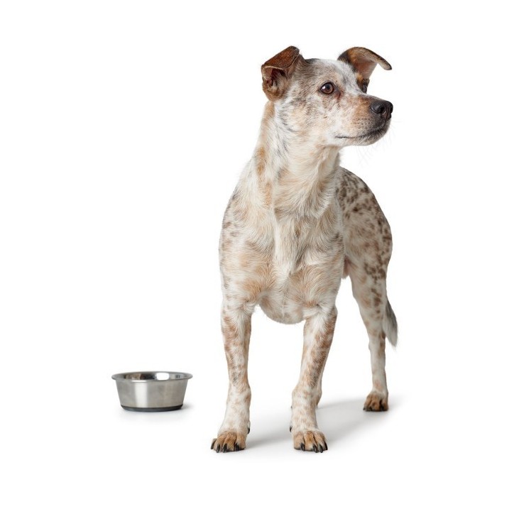 Hunter etetőtál rozsdamentes acélból