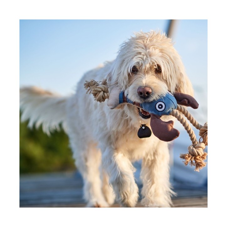 Canvas Sansibar Rantum Rák