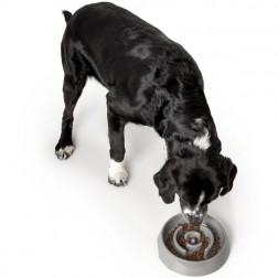 Habzsolásgátló tál Atlanta