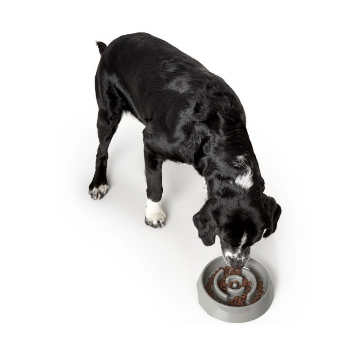 Hunter Habzsolásgátló tál - Atlanta