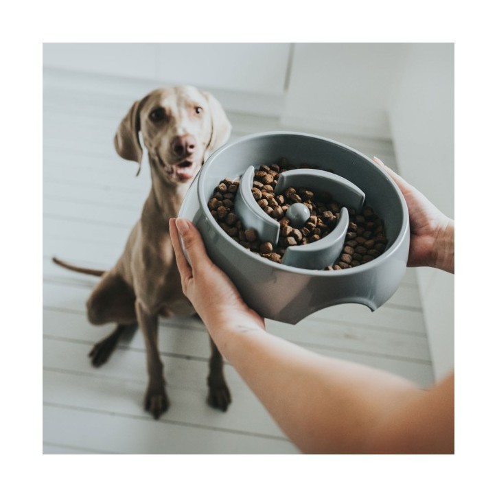 Hunter Habzsolásgátló tál - Atlanta