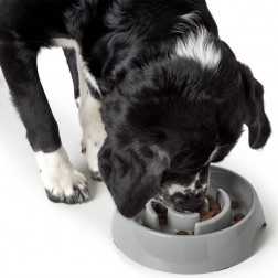 Habzsolásgátló tál Atlanta