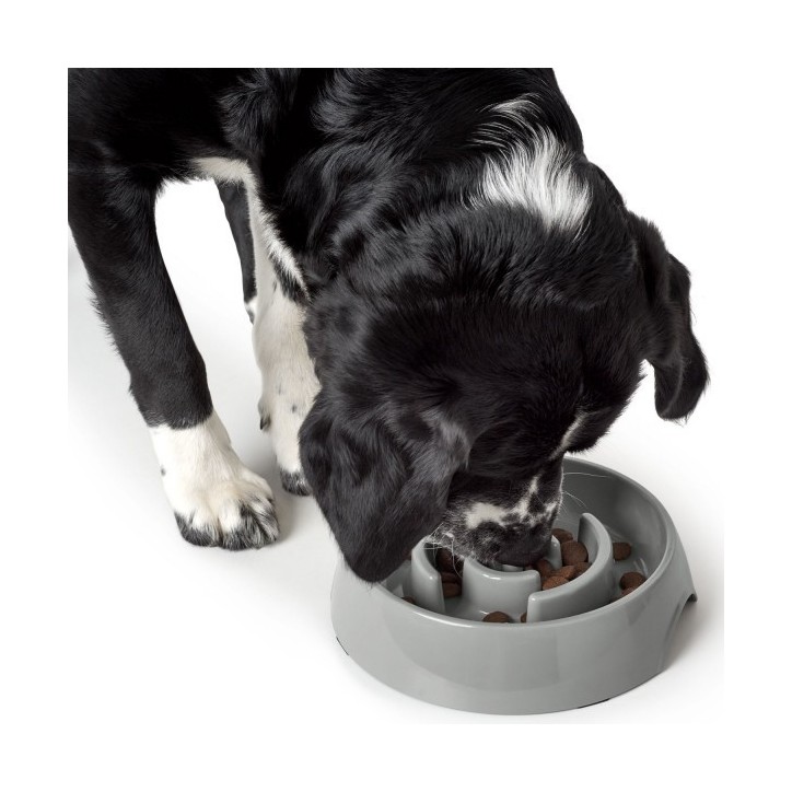 Hunter Habzsolásgátló tál - Atlanta