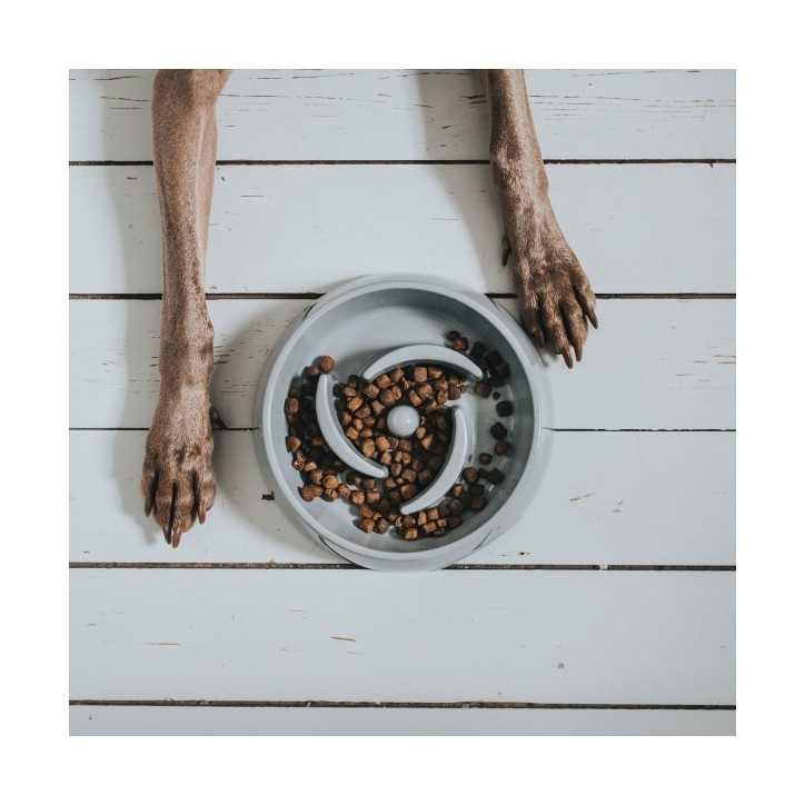 Hunter Habzsolásgátló tál - Atlanta