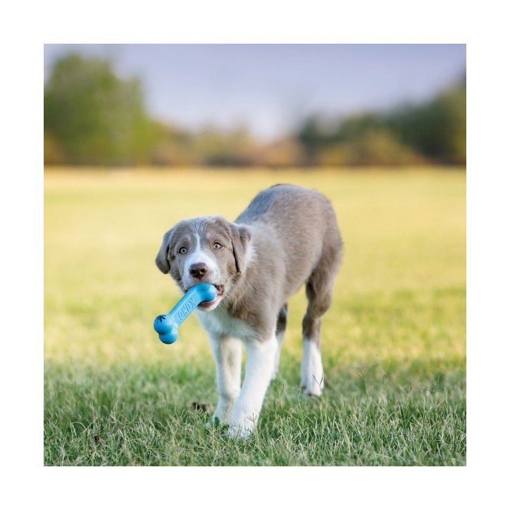 KONG® Puppy Goodie Bone™ KONG® Puppy Goodie Bone™