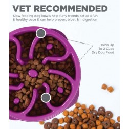 Fun Feeder Slo Bowl M, lila