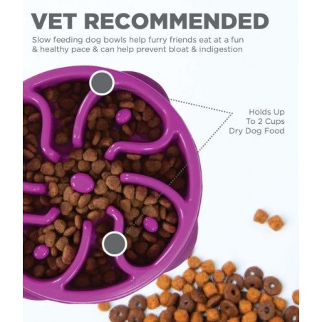 Fun Feeder Slo Bowl M, lila