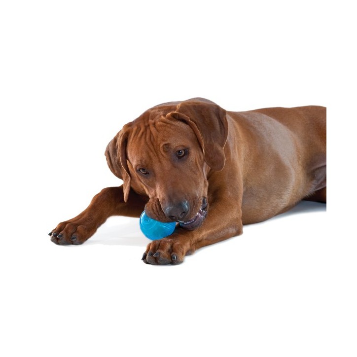 Orka csemegét adagoló teniszlabda kutyarágójáték, királykék Petstages