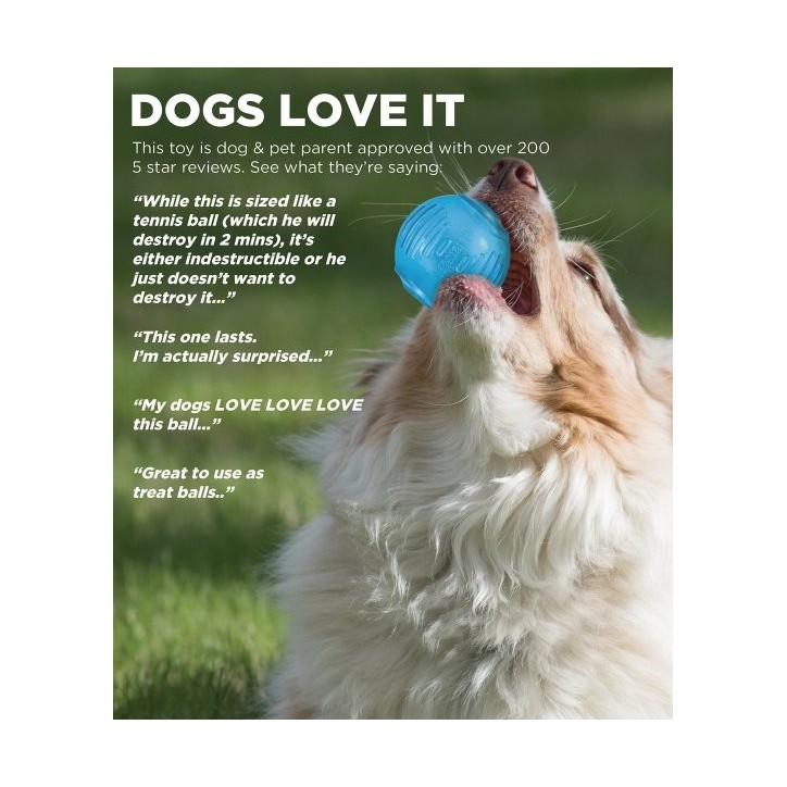 Orka csemegét adagoló teniszlabda kutyarágójáték, királykék Petstages