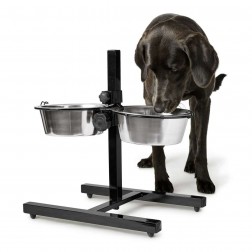 Dog Bar Basic