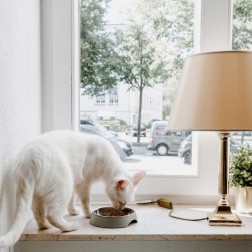 Hunter Atlanta Melamin macskatál 160ml