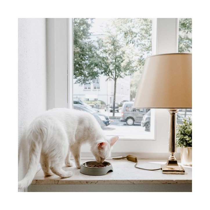 Hunter Atlanta Melamin macskatál 160ml