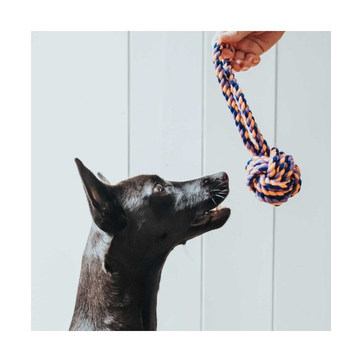 Hunter Jena kötéllabda fogóval