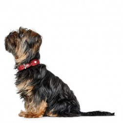 Hunter Love marhabőr nyakörv