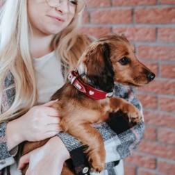 Hunter Love marhabőr nyakörv