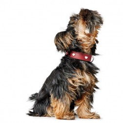 Hunter Love marhabőr nyakörv