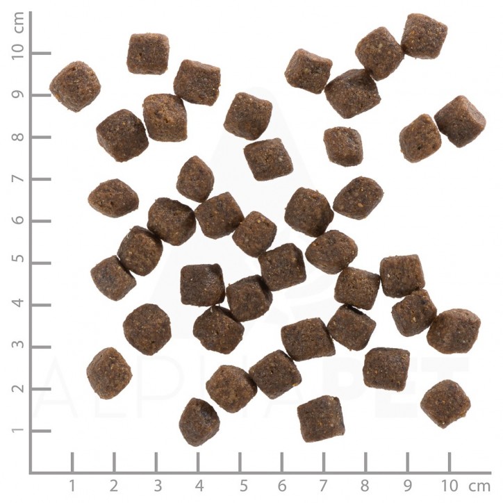 Wolfsblut Black Bird Puppy - Pulyka édesburgonyával