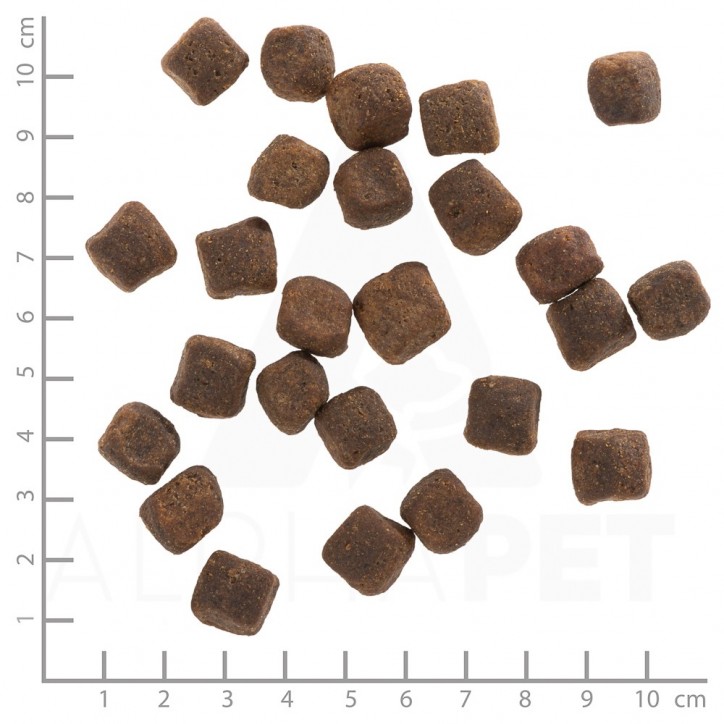 Wolfsblut Dark Forest Adult - Vad édesburgonyával 12,5 kg