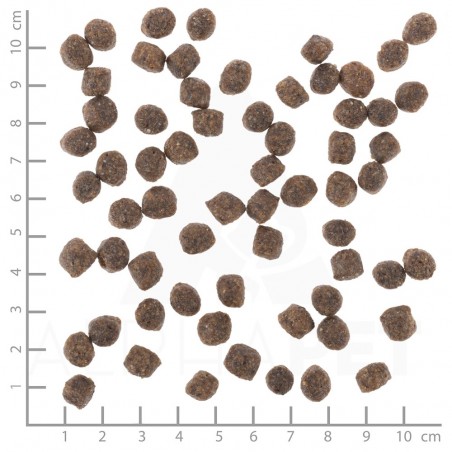 Wolfsblut Range Lamb Small Breed Adult - Bárány rizzsel
