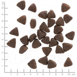 Wolfsblut Wild Boar Adult - Vaddisznó burgonyával