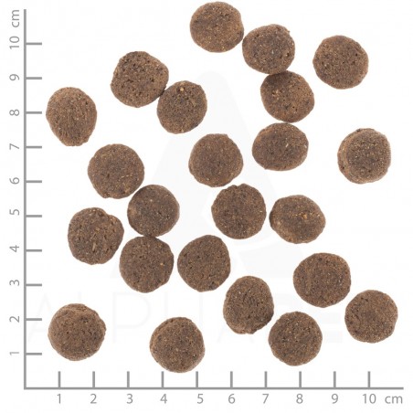 Wolfsblut VetLine Hypoallergenic - Ló 12kg