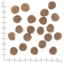 Wolfsblut VetLine Weight Management - Pulyka 2kg