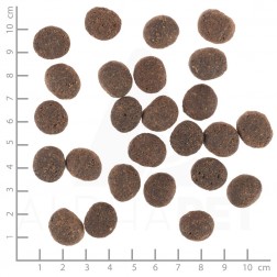 Wolfsblut VetLine Skin & Coat - Fehérhal 2kg