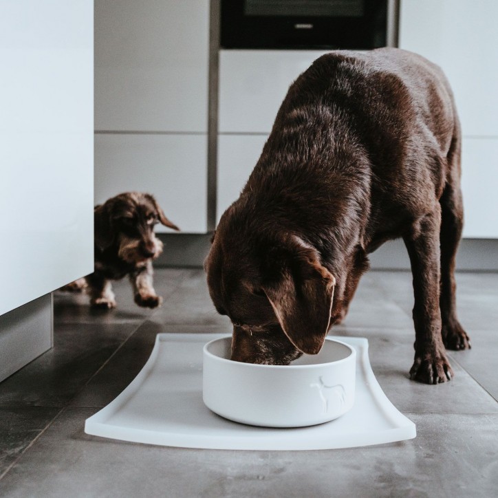 Hunter Osby kerámia tál