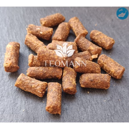 Teomann Tréning Snack Lazac 100g