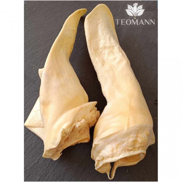 Teomann szárított Kecskefül