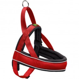 Hunter Norvég Racing hám