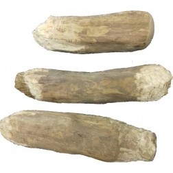 Teomann kávéfa rágóbot