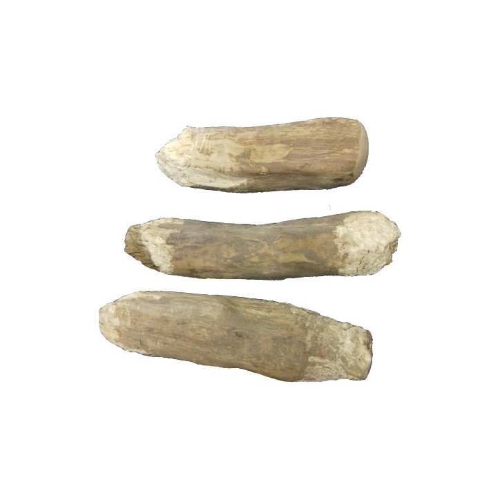 Teomann kávéfa rágóbot L