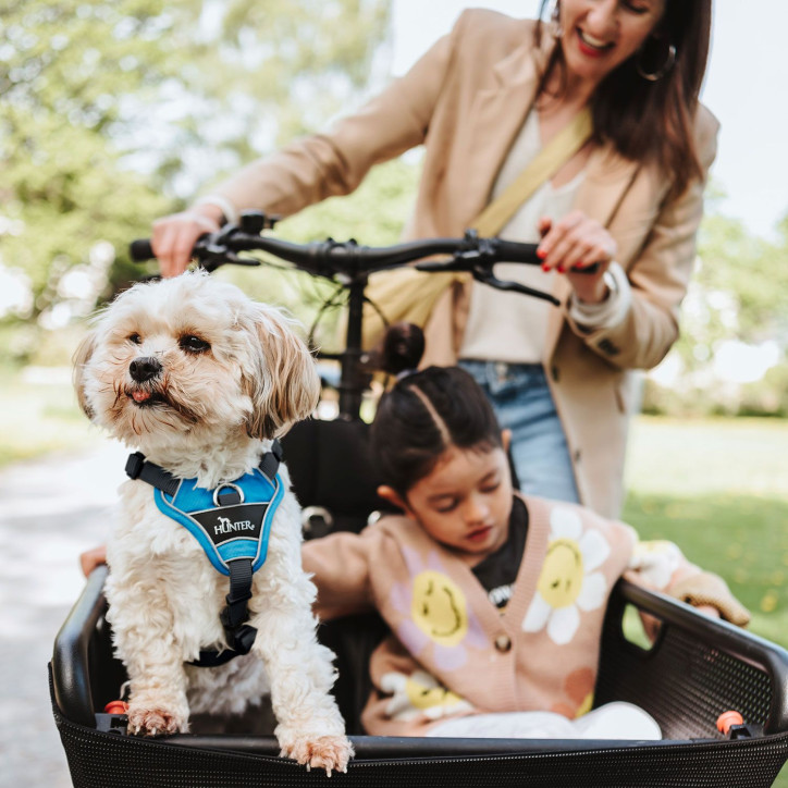 Hunter Divo hám - világoskék