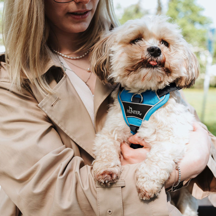 Hunter Divo hám - világoskék