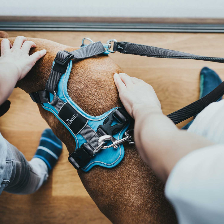 Hunter Divo hám - világoskék