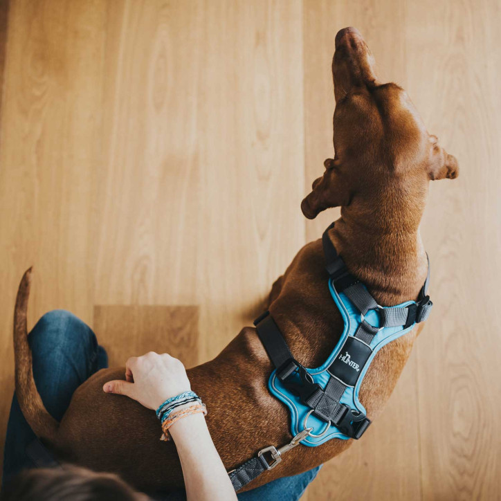 Hunter Divo hám - világoskék