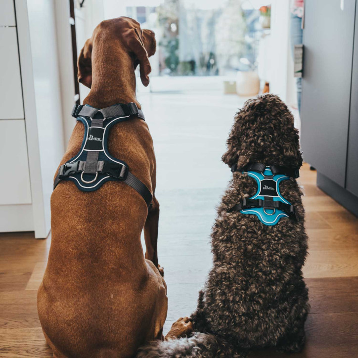 Hunter Divo hám - világoskék