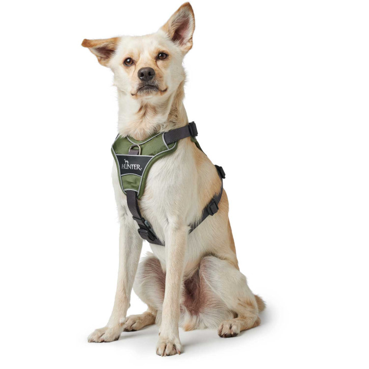 Hunter Divo hám - zöld